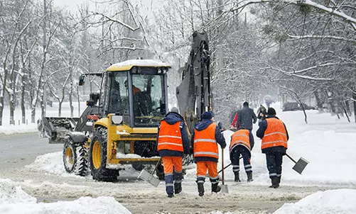 Épandage Sel de Déneigement Pelle de Jardin Épandeur pour Graines